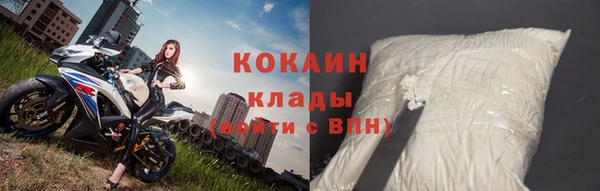 ГАЛЛЮЦИНОГЕННЫЕ ГРИБЫ Ельня
