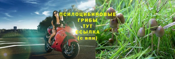мяу мяу кристалл Надым